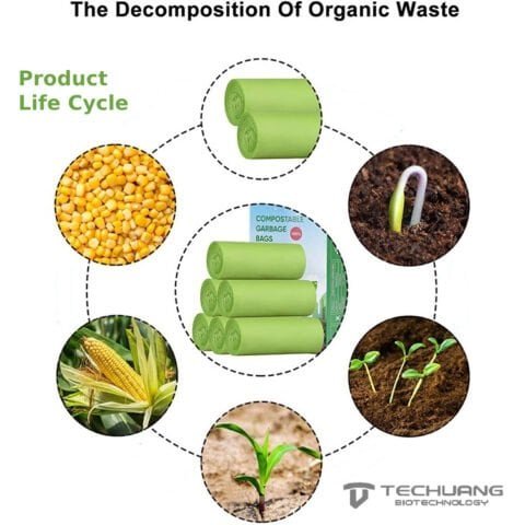 Life Cycle Of Compostable Product