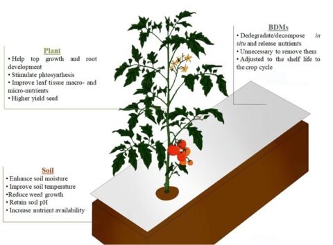 How Compostable Mulch Films Work