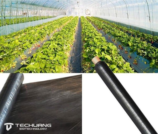 Roll Black Biodegradable Mulch Film