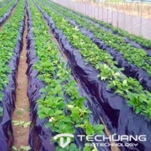 Black Biodegradable Mulch Film